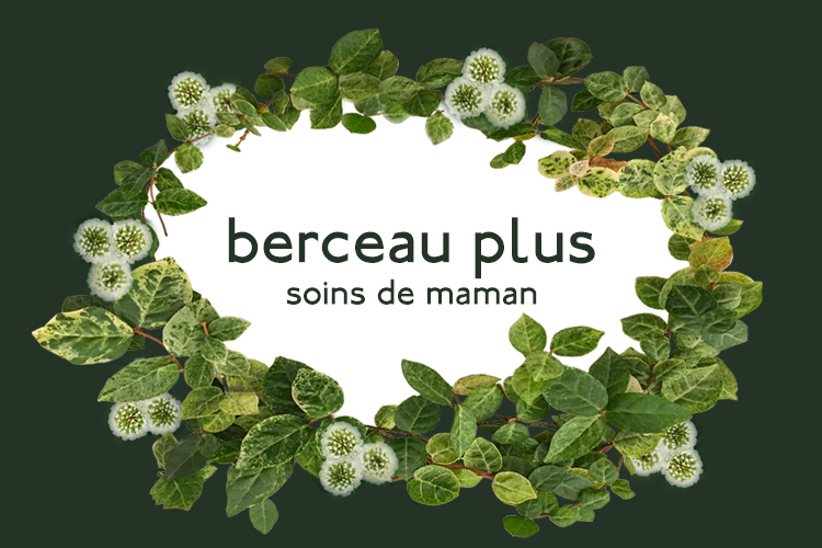 berceau plus」EIZO WEB SHOPで販売スタート！！ | EIZO